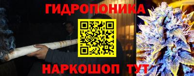 дмт Моздок