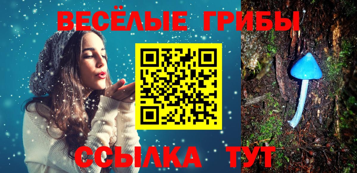 Псилоцибиновые грибы GOLDEN TEACHER Черкесск