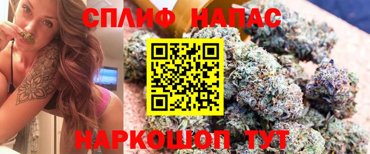 Черкесск  Каннабис конопля  Вход с VPN  Марихуана Bruce Banner 